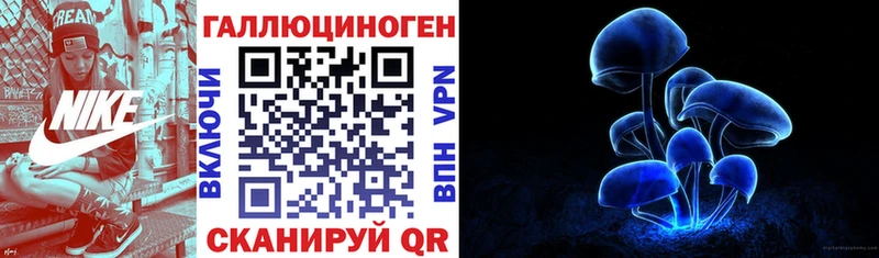 даркнет сайт  Дмитриев  Галлюциногенные грибы Cubensis 